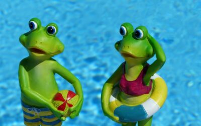 Wir wünschen schöne Sommerferien!
