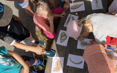 Ausflug zum Bachschulzimmer am Grenzbach