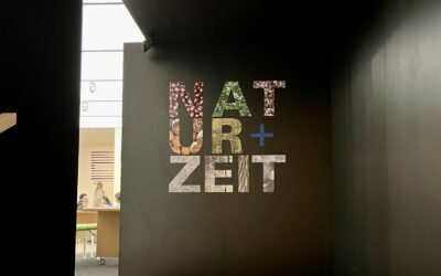 Grundschule Petershausen bei Landesausstellung Schulkunst NATUR + ZEIT